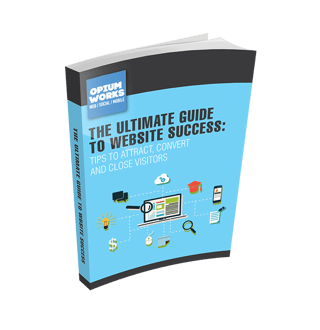 The_ultimate_guide_to_website_success_BOOK.png
